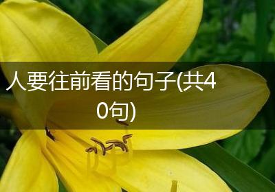 人要往前看的句子(共40句)