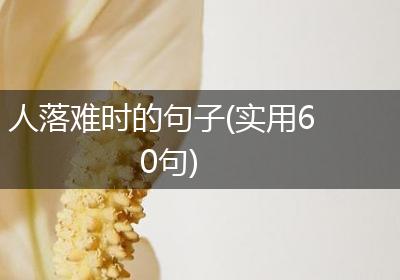人落难时的句子(实用60句)
