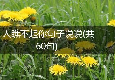 人瞧不起你句子说说(共60句)