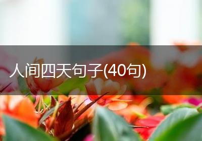 人间四天句子(40句)