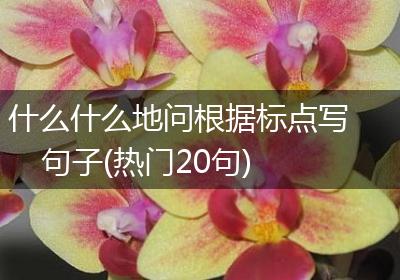 什么什么地问根据标点写句子(热门20句)