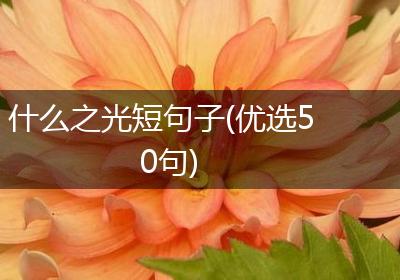 什么之光短句子(优选50句)