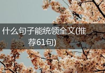 什么句子能统领全文(推荐61句)