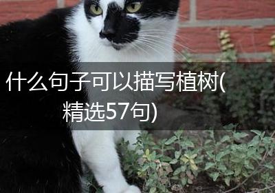 什么句子可以描写植树(精选57句)