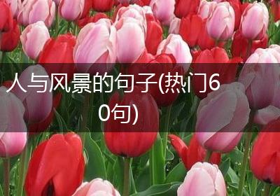人与风景的句子(热门60句)