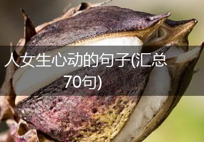 人女生心动的句子(汇总70句)