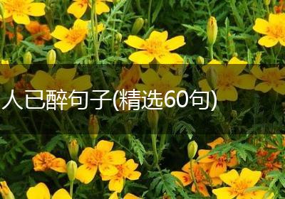 人已醉句子(精选60句)