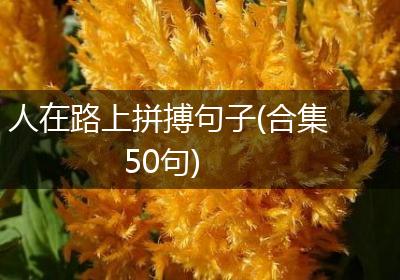 人在路上拼搏句子(合集50句)