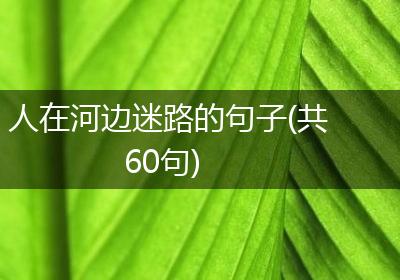 人在河边迷路的句子(共60句)