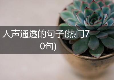 人声通透的句子(热门70句)