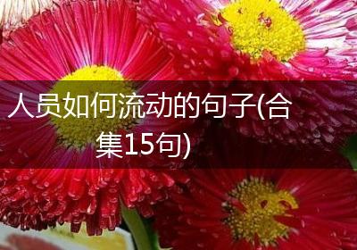 人员如何流动的句子(合集15句)