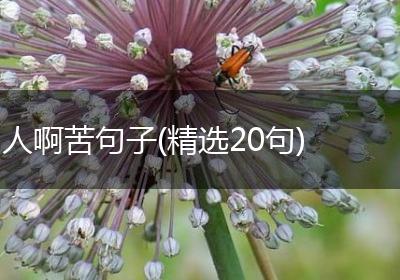 人啊苦句子(精选20句)