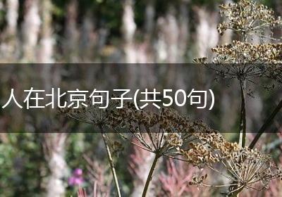 人在北京句子(共50句)