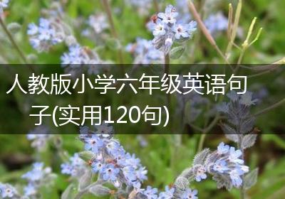 人教版小学六年级英语句子(实用120句)