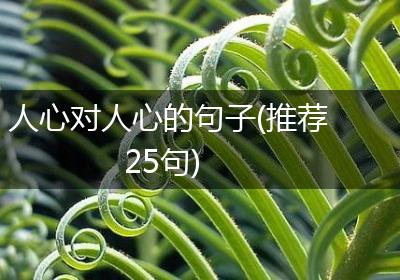 人心对人心的句子(推荐25句)
