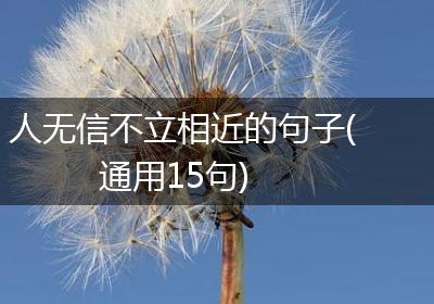 人无信不立相近的句子(通用15句)