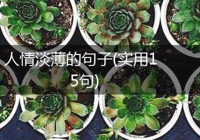人情淡薄的句子(实用15句)