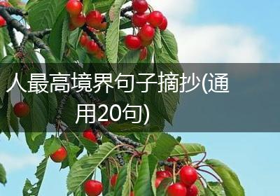人最高境界句子摘抄(通用20句)