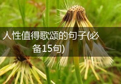 人性值得歌颂的句子(必备15句)