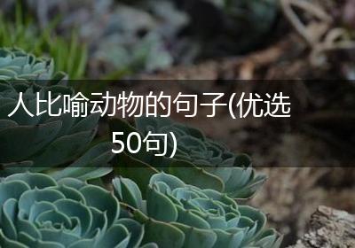 人比喻动物的句子(优选50句)