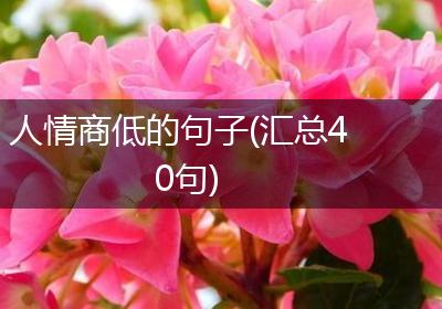 人情商低的句子(汇总40句)