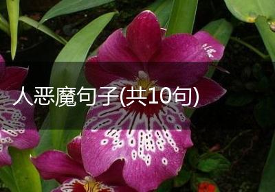 人恶魔句子(共10句)