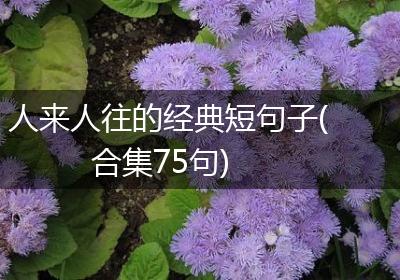 人来人往的经典短句子(合集75句)