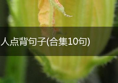 人点背句子(合集10句)