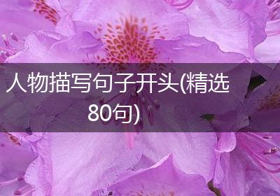 人物描写句子开头(精选80句)