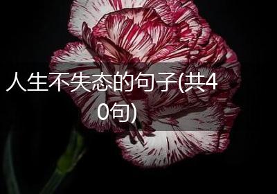 人生不失态的句子(共40句)