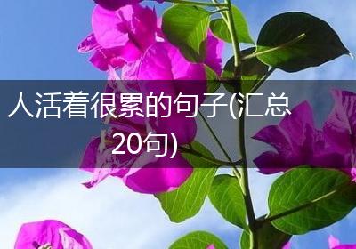 人活着很累的句子(汇总20句)