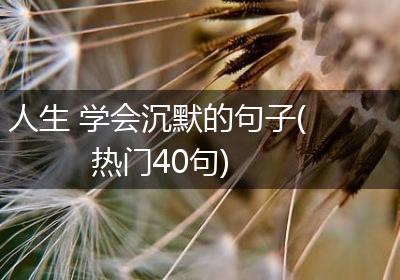 人生 学会沉默的句子(热门40句)