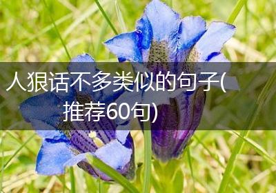 人狠话不多类似的句子(推荐60句)