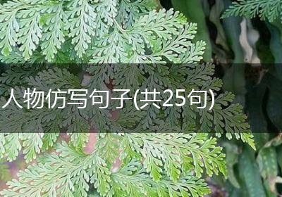 人物仿写句子(共25句)