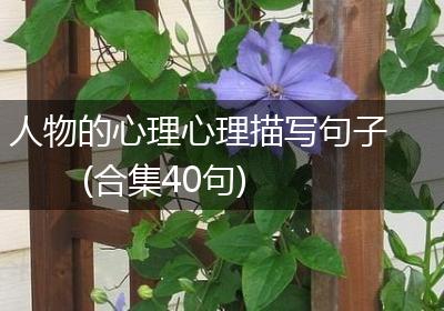 人物的心理心理描写句子(合集40句)