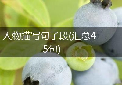 人物描写句子段(汇总45句)