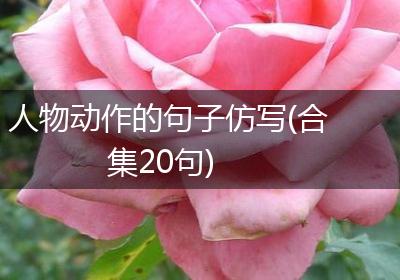 人物动作的句子仿写(合集20句)