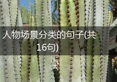 人物场景分类的句子(共16句)