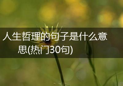 人生哲理的句子是什么意思(热门30句)