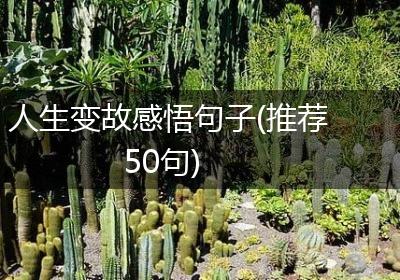 人生变故感悟句子(推荐50句)