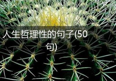 人生哲理性的句子(50句)
