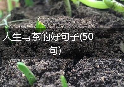 人生与茶的好句子(50句)