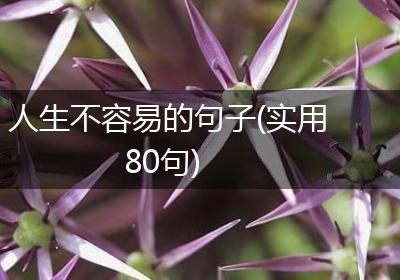 人生不容易的句子(实用80句)