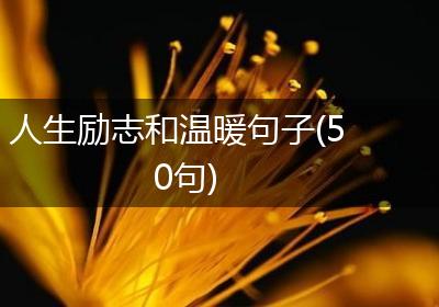 人生励志和温暖句子(50句)