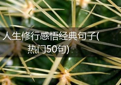 人生修行感悟经典句子(热门50句)