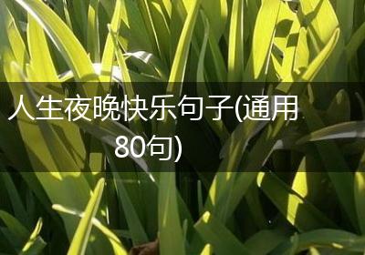 人生夜晚快乐句子(通用80句)