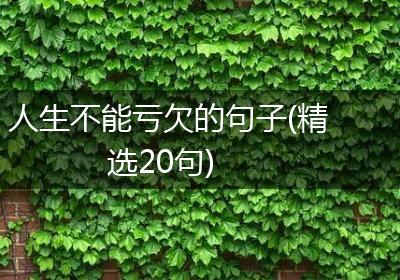 人生不能亏欠的句子(精选20句)