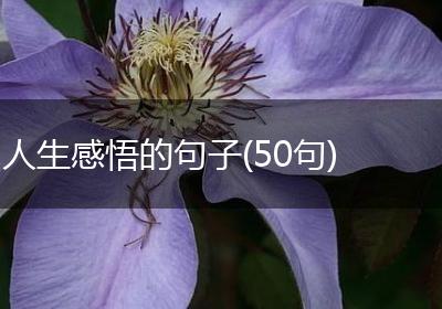 人生感悟的句子(50句)
