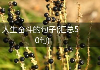人生奋斗的句子(汇总50句)