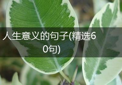 人生意义的句子(精选60句)